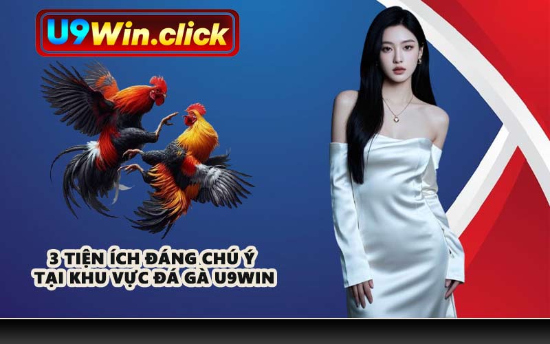 3 tiện ích đáng chú ý tại khu vực đá gà U9WIN