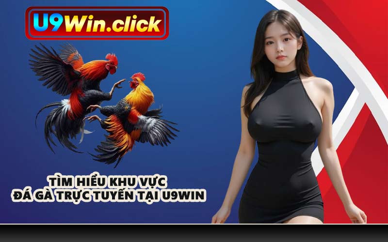 Tìm hiểu khu vực đá gà trực tuyến tại U9WIN